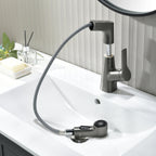 Single-Hole Rotatable Pull-Out Tap_Gray