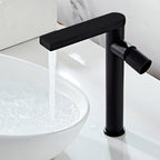 360° Swivel Spout Basin Taps_Black