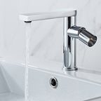 360° Swivel Spout Basin Taps_Sliver